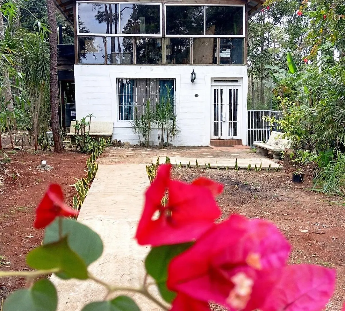 Chalet Thevenin Art Accommodation Jarabacoa Apartment